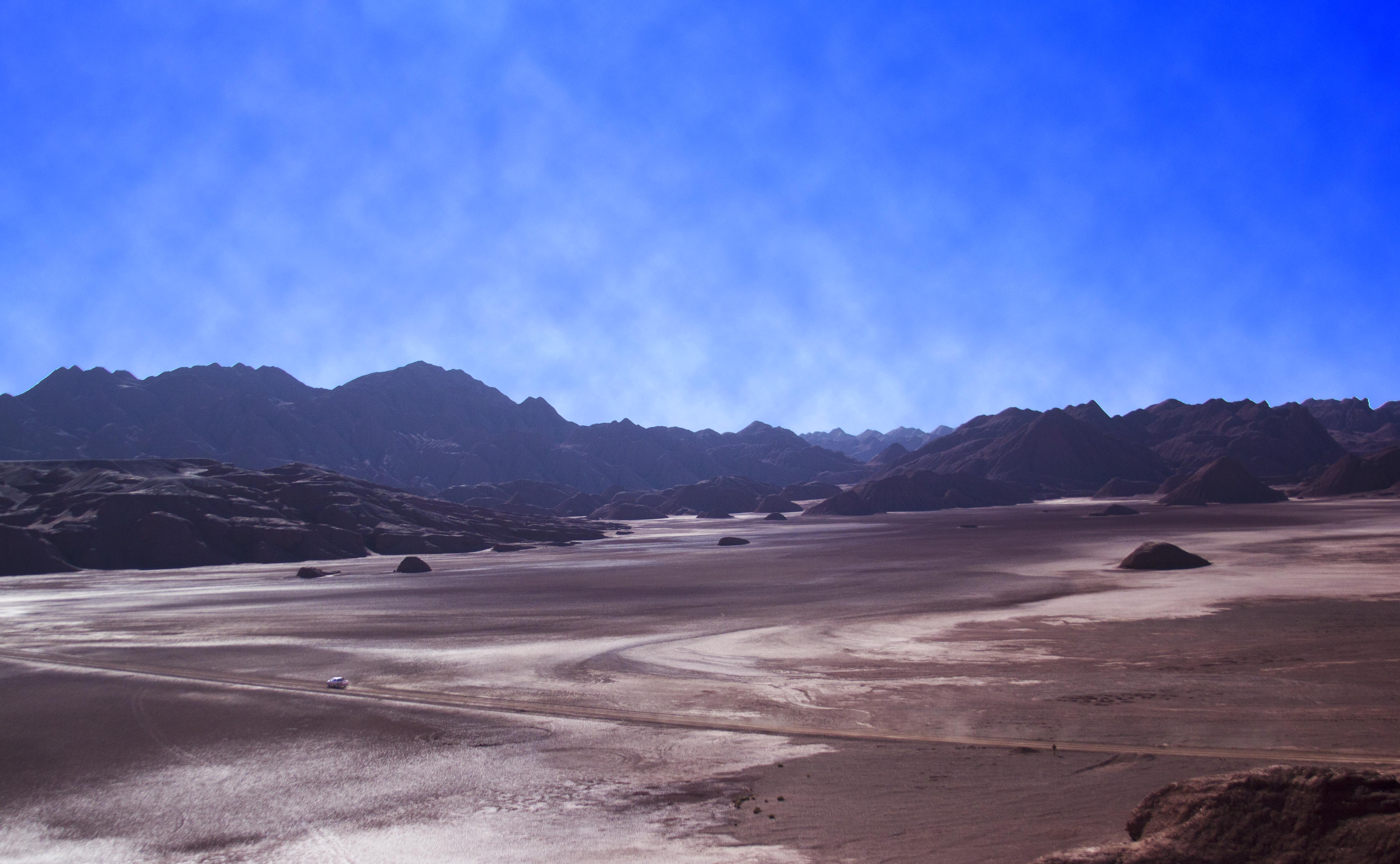 Branquela cruzando o Salar del Diablo, Puna Argentina