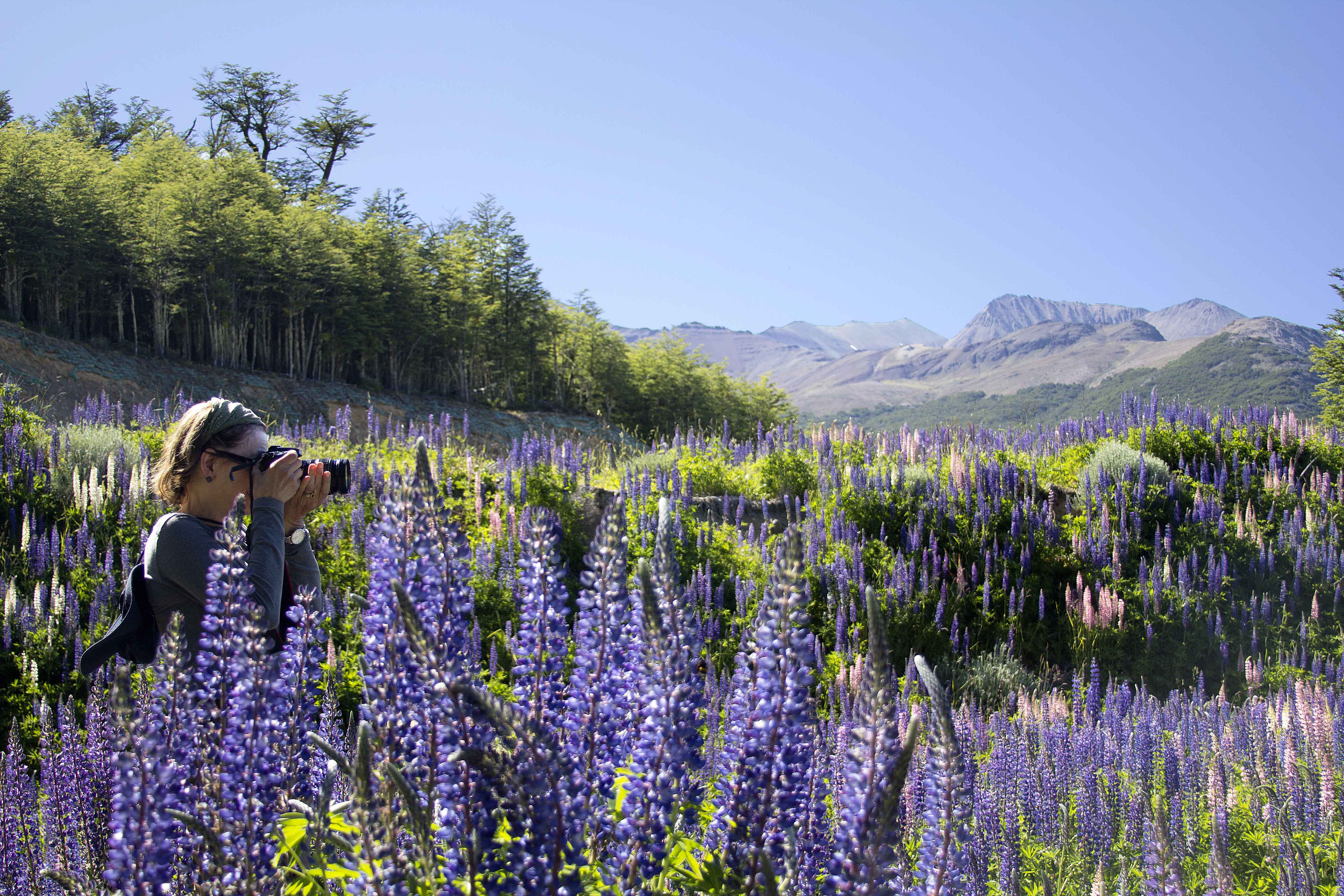 Para, para, para que eu quero tirar essa foto!