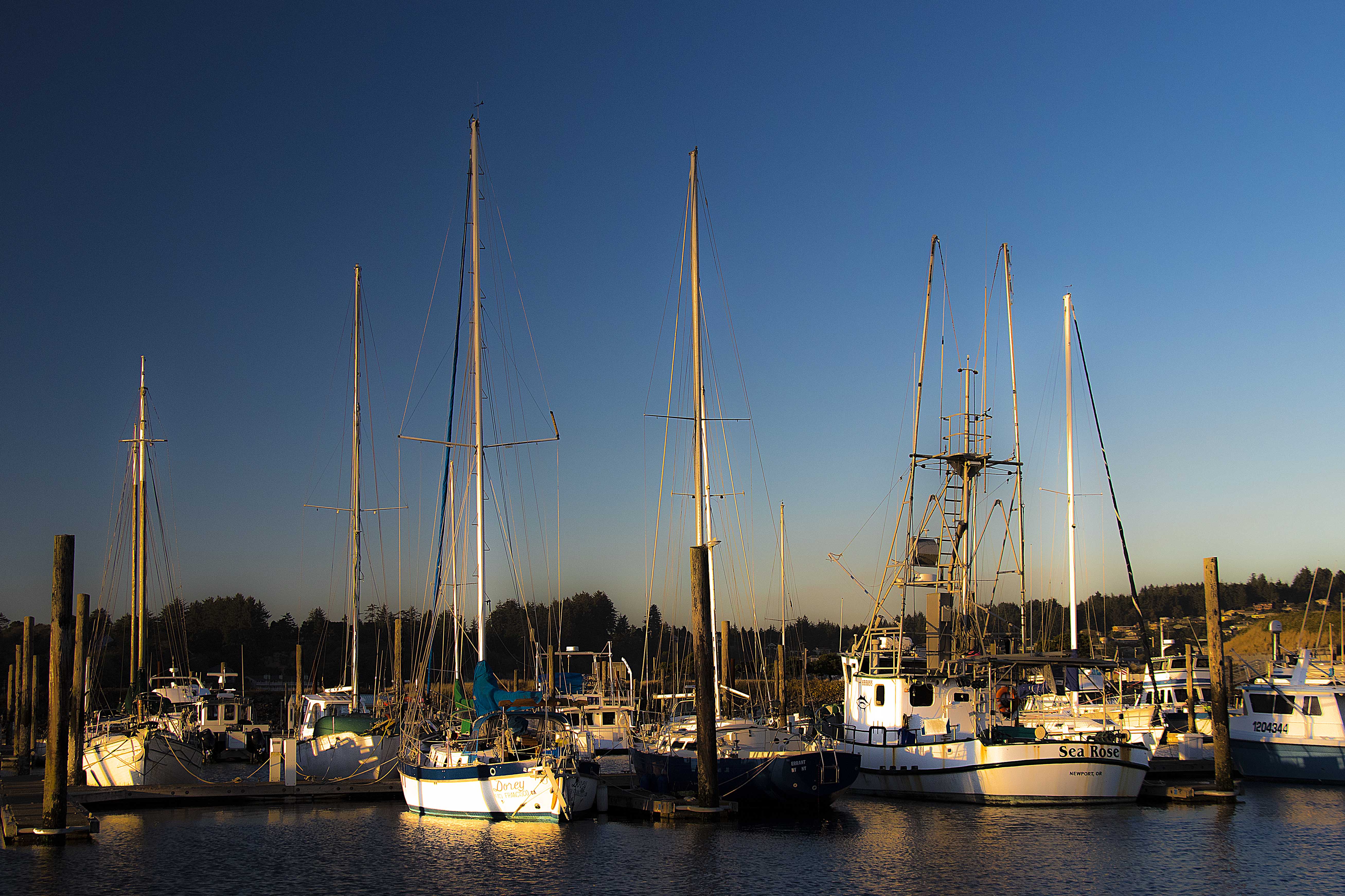 051017_Alaska_LA_2017_0284