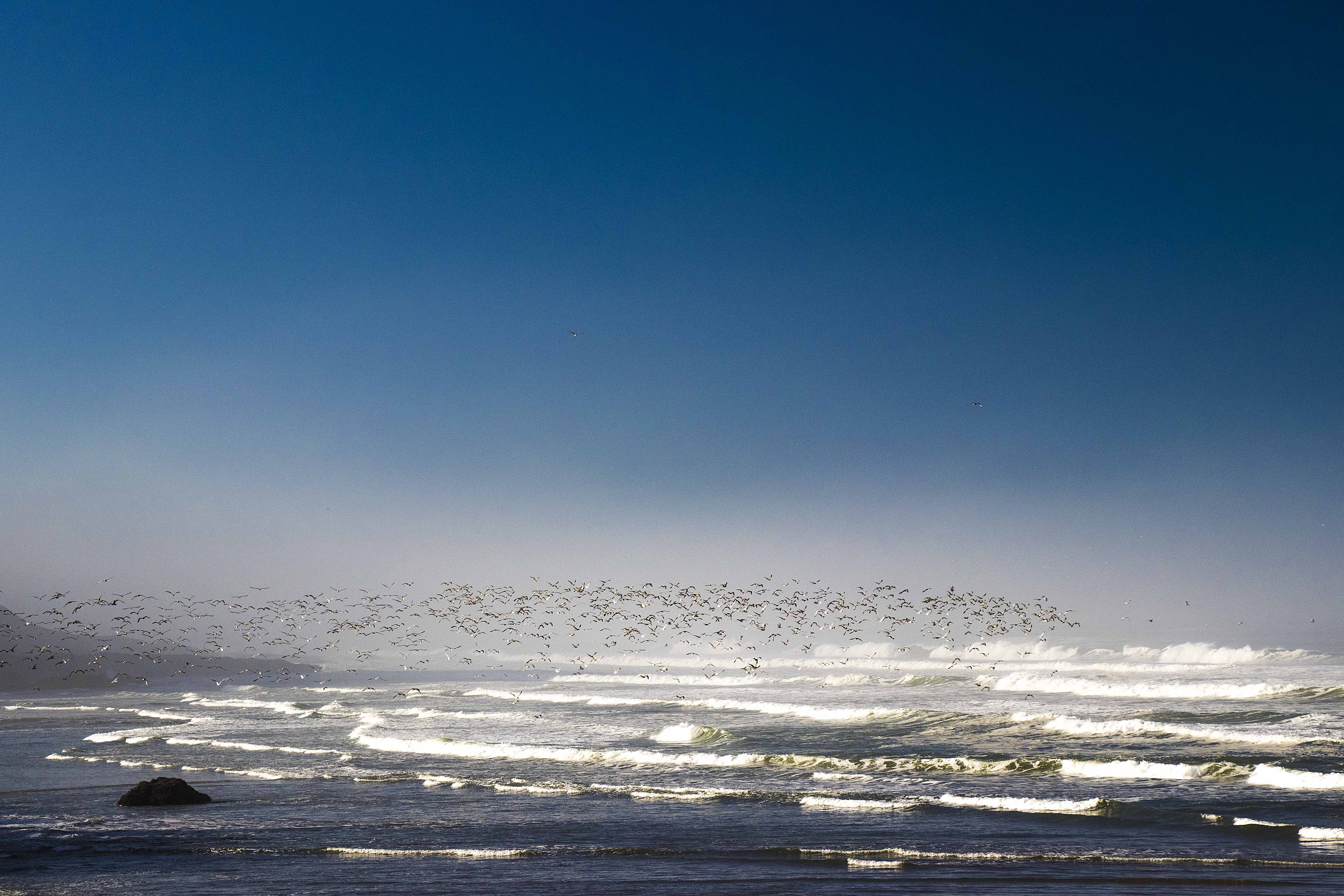 061017_Alaska_LA_2017_0180