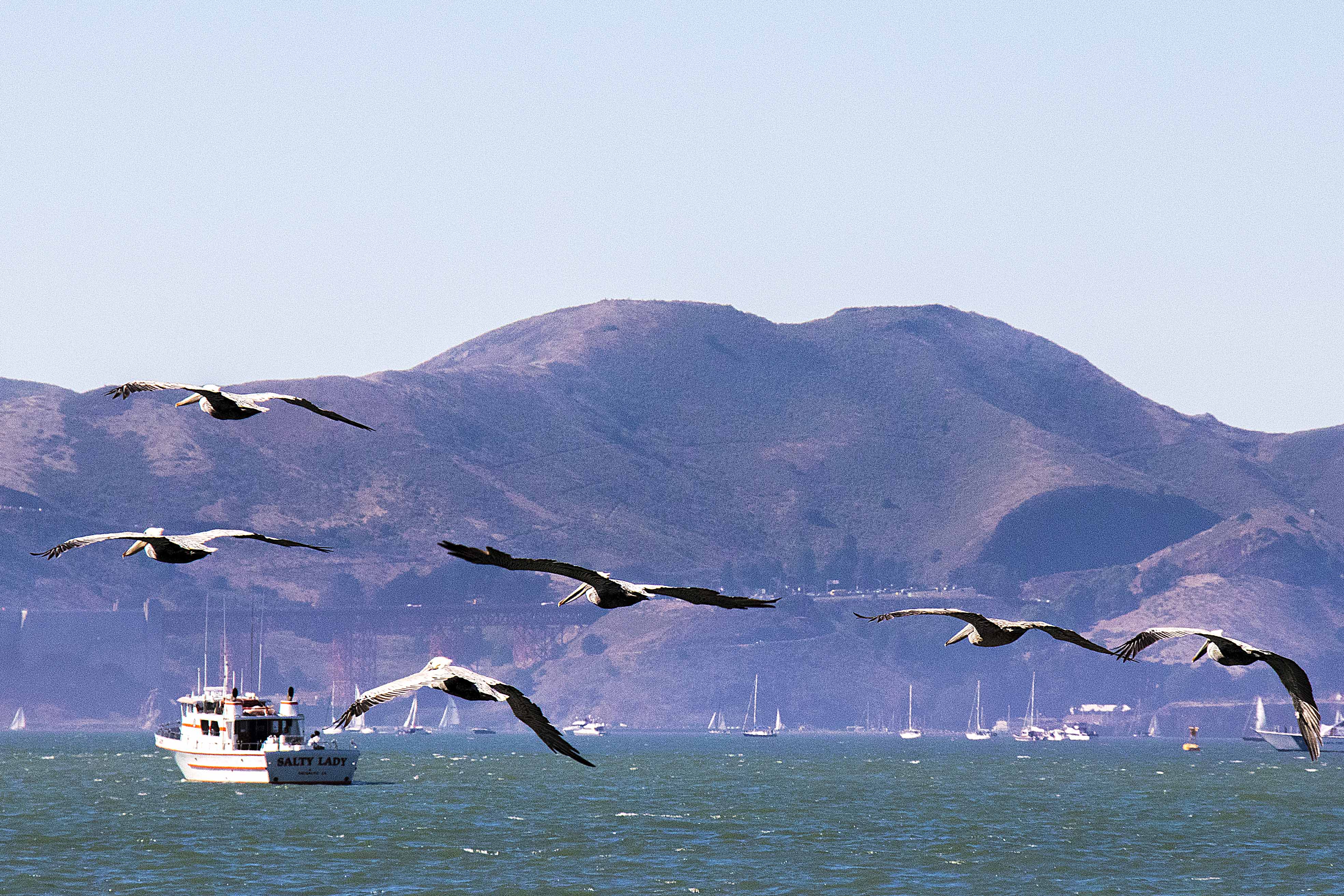 081017_Alaska_LA_2017_0132