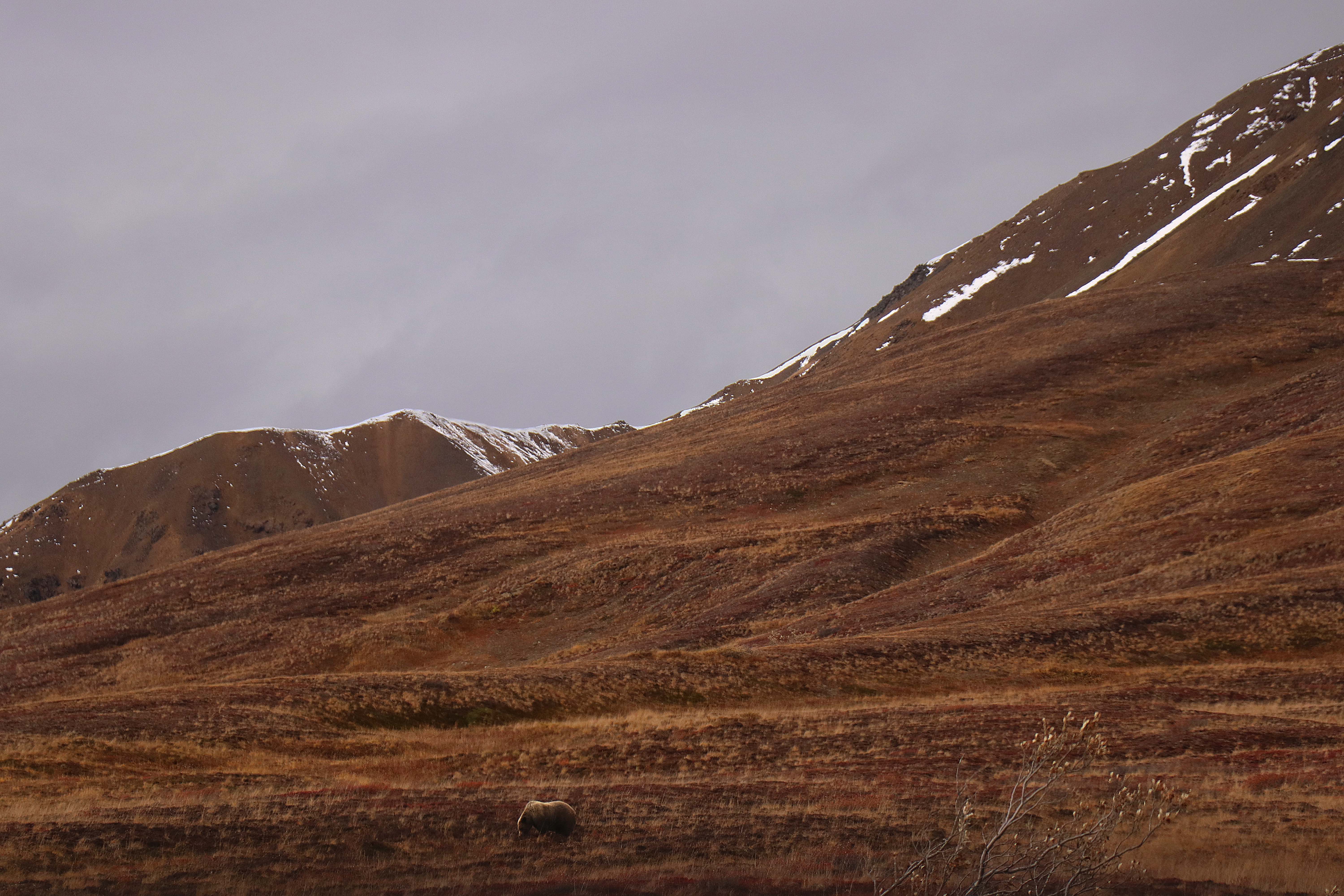 140917_Alaska_LA_2017_0817b