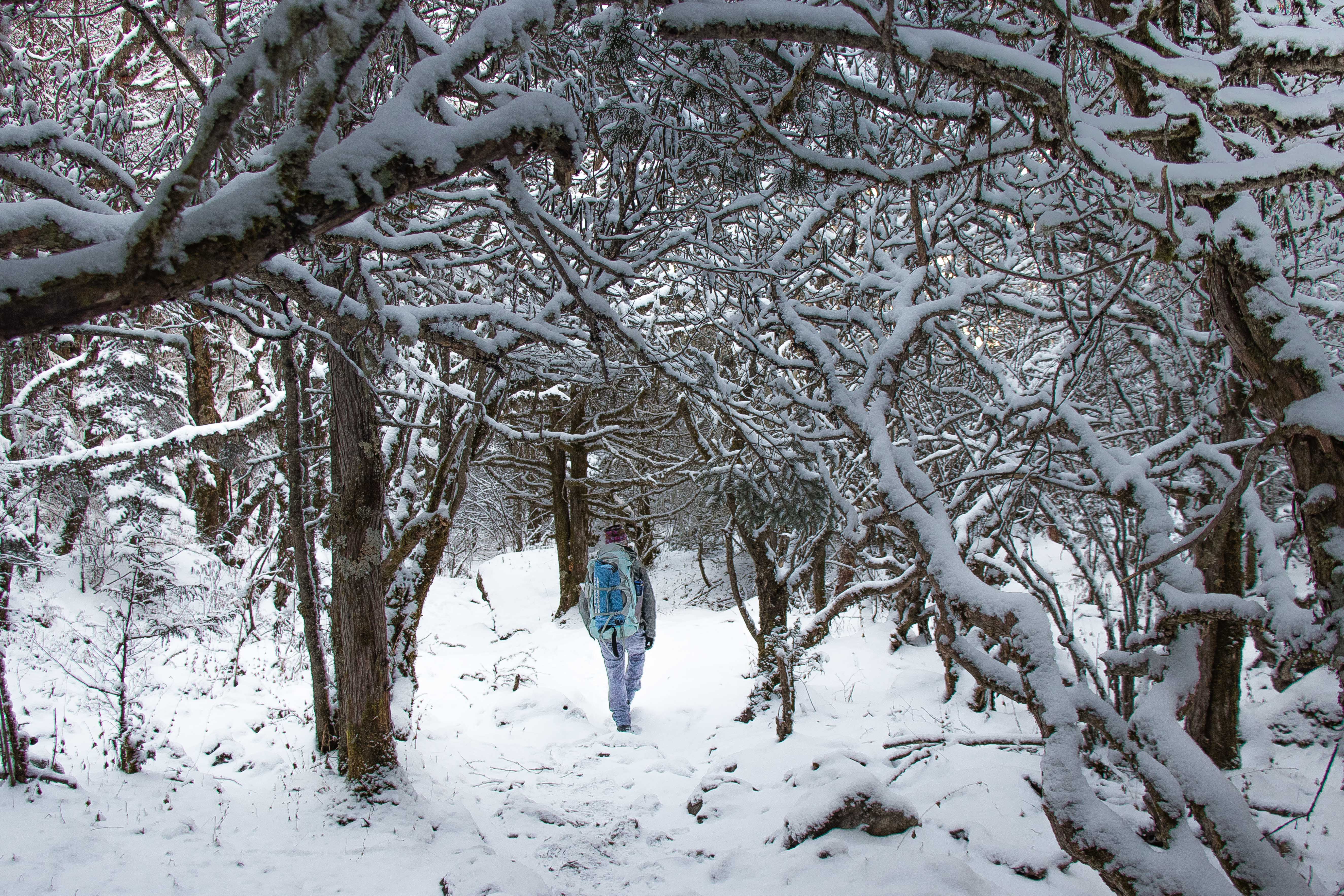 20180313_NEPAL_2018_0125